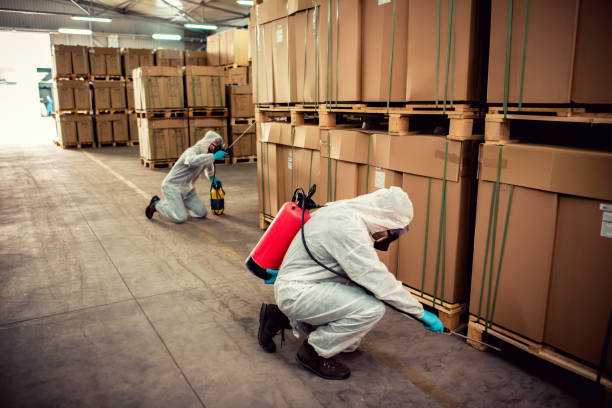 Best Best Pest Control Companies  in Elmendorf, TX