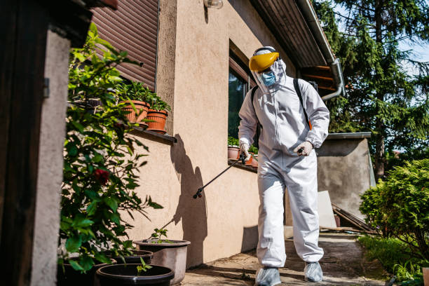 Best Wildlife Control Services  in Elmendorf, TX