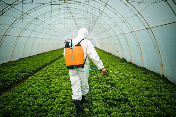 Best Best Pest Control Companies  in Elmendorf, TX