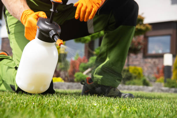 Professional Pest Control in Elmendorf, TX