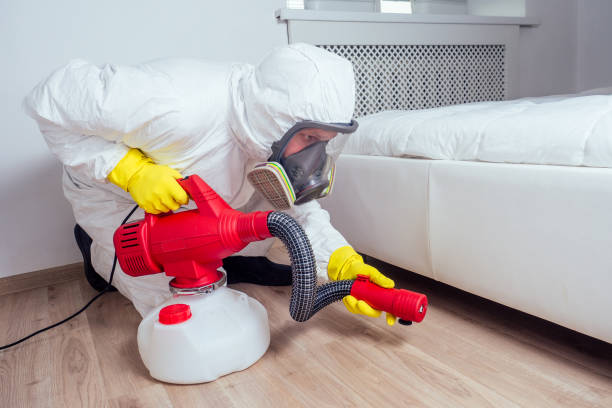 Best Affordable Pest Control Services  in Elmendorf, TX