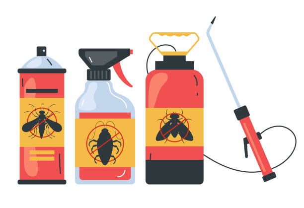 Best Exterminator Services  in Elmendorf, TX