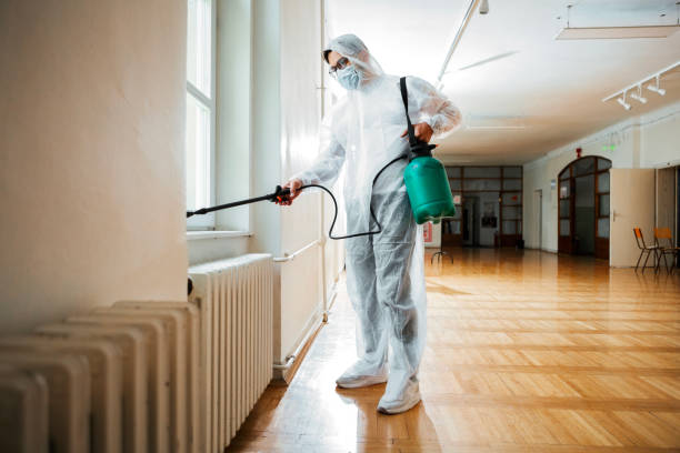 Best Pest Control Near Me in Elmendorf, TX