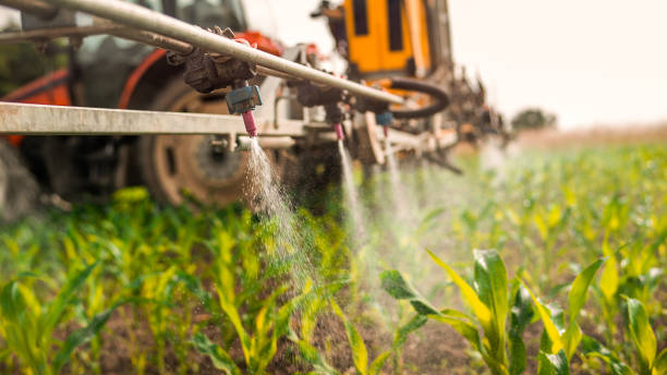 Best Wildlife Control Services  in Elmendorf, TX
